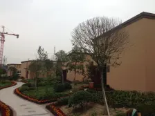 龙洲湾 凯川紫依云二房