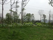 凯川紫依云 2室2厅 南