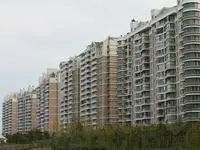 区政府旁,世纪大道边 ,精装修好楼层