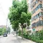 越江新村 地铁1号线旁,精装45万,拎包入住