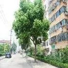 万达商圈,越江新村楼中楼 ,带车位好房出售