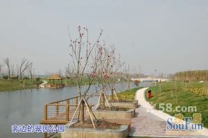 新三园花苑2室2厅南