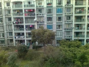 瓜渚风情4室2厅南