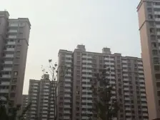 金沁苑 2室1厅 南 北