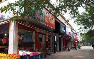 上下杭景区旁复式楼使用面积大采光视野好