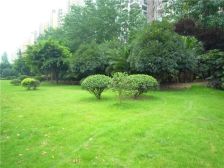 洲际银海湾 3室1厅 东北