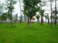 洲际银海湾 3室1厅 东北