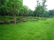 洲际银海湾 4室2厅 西北