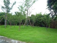 洲际银海湾 3室2厅 东南