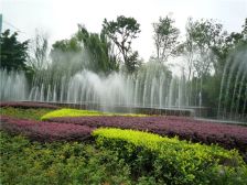 洲际银海湾 2室1厅 南 东 东南