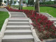 宫和西香郡 2室1厅 南