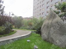 兴唐国翠城1室1厅南