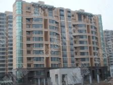 房子位置好 格局好 通透 采光充足 精装修