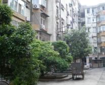 春江佳苑南区6室2厅南