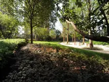 大石坝 东原D7三房127万