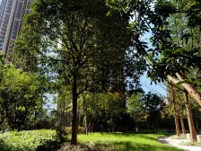 大石坝 东原D7一房75万