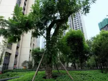 大石坝 东原D7一房80万