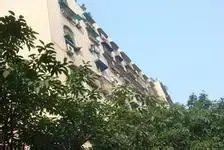 宝光滨江花园 3室2厅 南