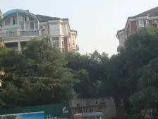 天立旁现浇房,带60平台花园,多层的清水