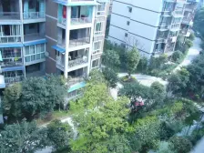 南光路内跃带大院子的花园房来了 地段好 出行便利