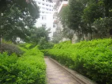 此房户型方正,房间也很干净,通透格局,采光好!