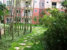 龙透关子小包房住家装修小区配套齐全