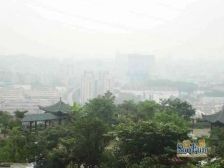 怡景苑 6室3厅 东