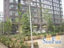 阳光水岸住家精装,现浇顶跃,带平台花园