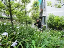 绿苑阳光水岸A区 4室2厅 东