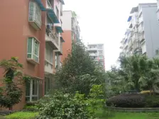 龙马潭利居花园精装温馨两房 拎包入住