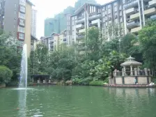 龙城高新天地 1室1厅 西南