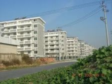 朝霞里花苑诚心出售价格可谈电梯好楼层