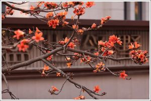 盛世领墅6室1厅南