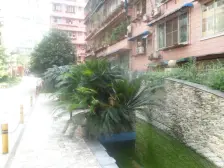 兴城西华苑 3室2厅 南