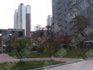 圣景苑小区2室1厅南北