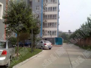 南池怡景园2室2厅南北