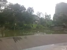 旁是酒城乐园江阳公园,还有酒城大道龙驰广场菜市场