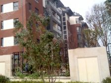 鲁商南池公馆 2室2厅 南