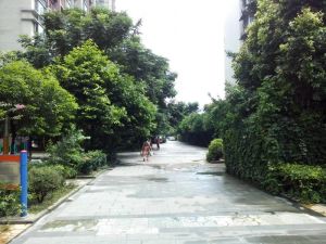 新和理想家1室1厅东南