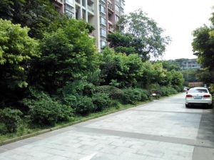 新和理想家1室1厅东南