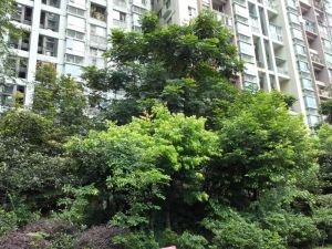 新和理想家1室1厅东南
