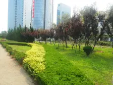 天越湾大独栋别墅 小区南排 近黑松林 大院子