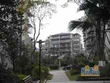 回龙湾(龙湾398)一室户型,随时看房!