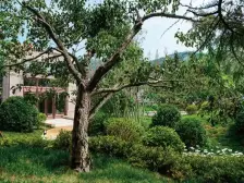 万科御龙山 4室2厅 南 北