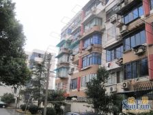 《地铁精装三房》《全明户型》《格局正气》