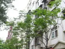 三环内 地铁口 多层精装大两室 有钥匙