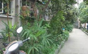 芳草街47号2室1厅东西