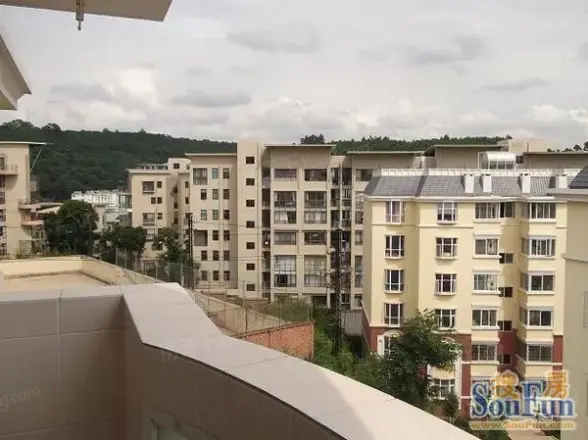 大溪地
