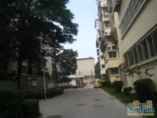 碧沙岗公园西门,百花路 隔壁,双气通透两房