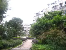 柏香林 7室3厅 南